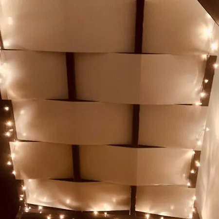 Flavi باري
